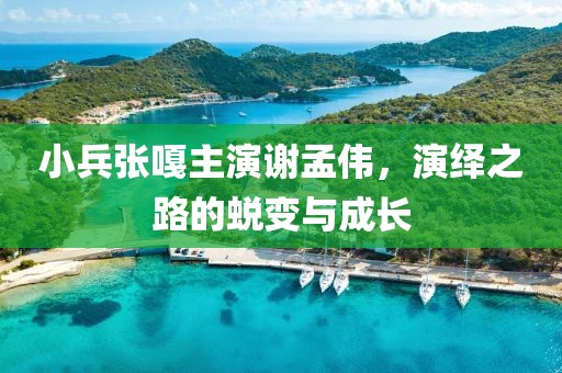 小兵张嘎主演谢孟伟，演绎之路的蜕变与成长