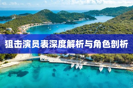 狙击演员表深度解析与角色剖析