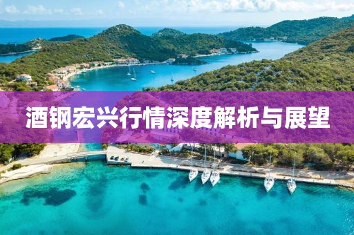 酒钢宏兴行情深度解析与展望