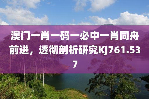 澳门一肖一码一必中一肖同舟前进，透彻剖析研究KJ761.537