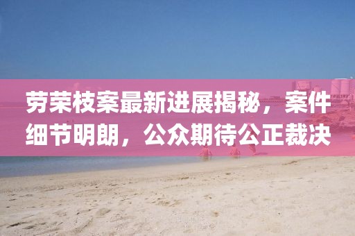 劳荣枝案最新进展揭秘，案件细节明朗，公众期待公正裁决