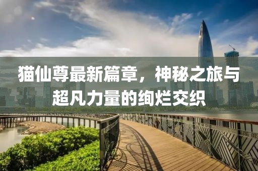 猫仙尊最新篇章，神秘之旅与超凡力量的绚烂交织