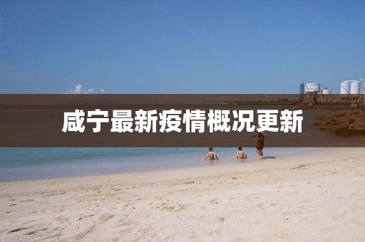 咸宁最新疫情概况更新