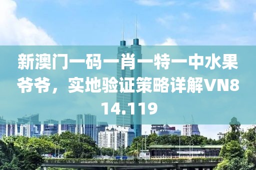 新澳门一码一肖一特一中水果爷爷，实地验证策略详解VN814.119