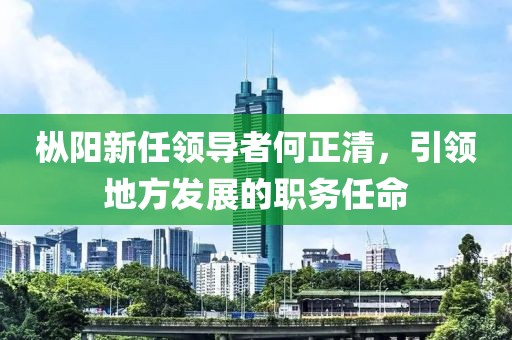 枞阳新任领导者何正清，引领地方发展的职务任命
