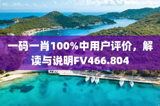 一码一肖100%中用户评价，解读与说明FV466.804