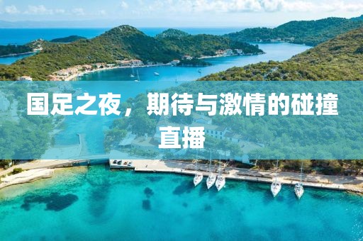 国足之夜，期待与激情的碰撞直播