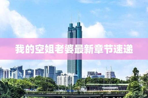 我的空姐老婆最新章节速递