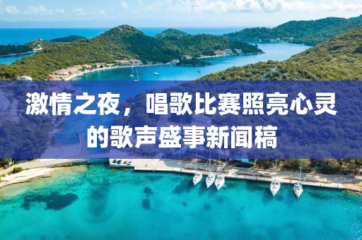 激情之夜，唱歌比赛照亮心灵的歌声盛事新闻稿