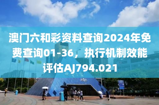 澳门六和彩资料查询2024年免费查询01-36，执行机制效能评估AJ794.021