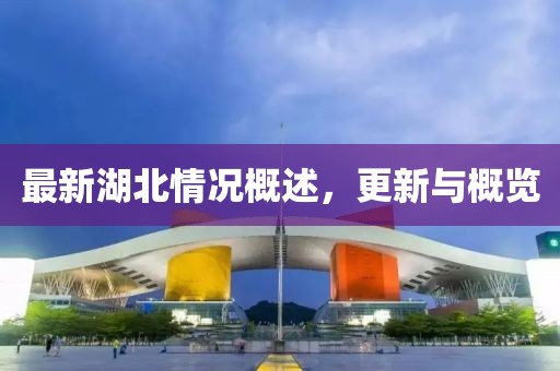 最新湖北情况概述，更新与概览