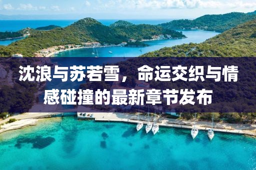 沈浪与苏若雪，命运交织与情感碰撞的最新章节发布