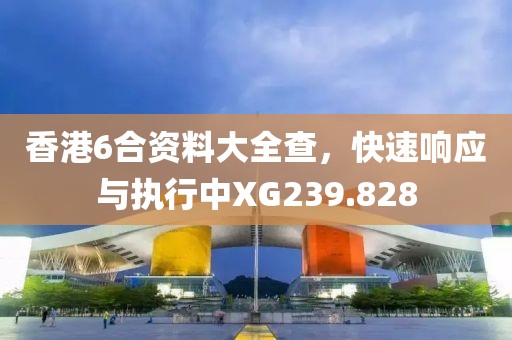 香港6合资料大全查，快速响应与执行中XG239.828