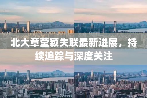 北大章莹颖失联最新进展，持续追踪与深度关注