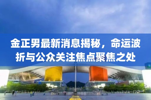金正男最新消息揭秘，命运波折与公众关注焦点聚焦之处