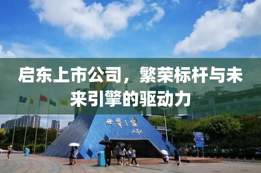 启东上市公司，繁荣标杆与未来引擎的驱动力