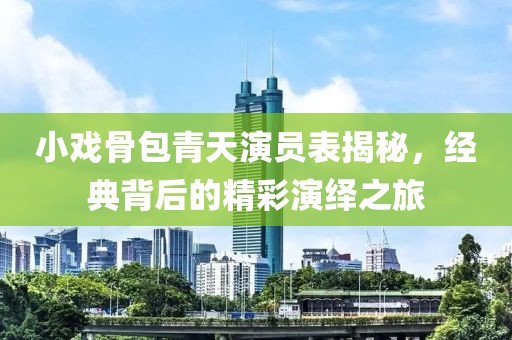 小戏骨包青天演员表揭秘，经典背后的精彩演绎之旅