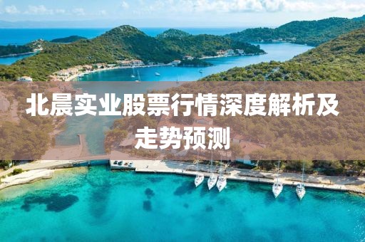 北晨实业股票行情深度解析及走势预测