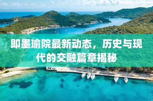 往后余生 第11页