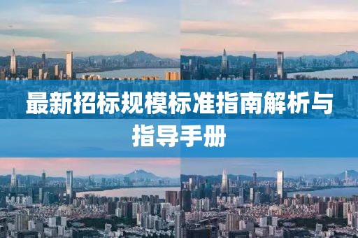 最新招标规模标准指南解析与指导手册