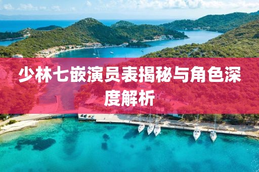少林七嵌演员表揭秘与角色深度解析