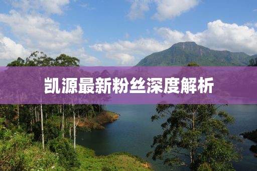 凯源最新粉丝深度解析