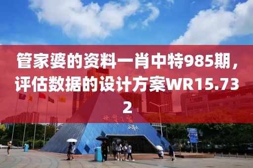 管家婆的资料一肖中特985期，评估数据的设计方案WR15.732