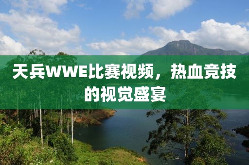 天兵WWE比赛视频，热血竞技的视觉盛宴