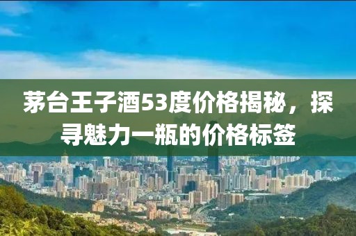 茅台王子酒53度价格揭秘，探寻魅力一瓶的价格标签