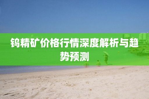 钨精矿价格行情深度解析与趋势预测
