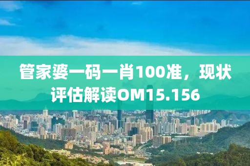 管家婆一码一肖100准，现状评估解读OM15.156