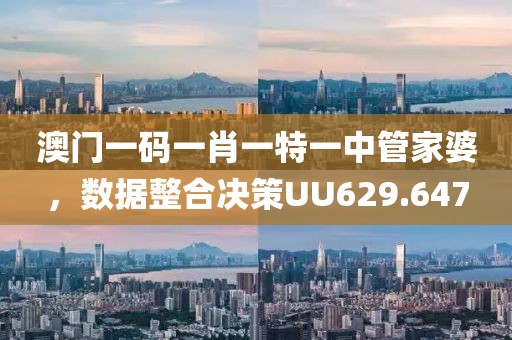 澳门一码一肖一特一中管家婆，数据整合决策UU629.647