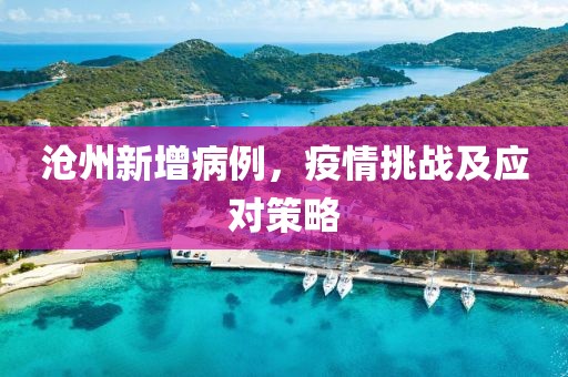 沧州新增病例，疫情挑战及应对策略