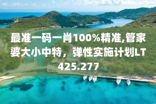 最准一码一肖100%精准,管家婆大小中特，弹性实施计划LT425.277
