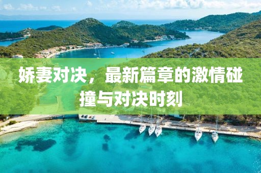 娇妻对决，最新篇章的激情碰撞与对决时刻