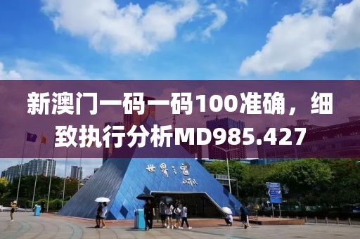 新澳门一码一码100准确，细致执行分析MD985.427