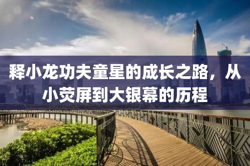 释小龙功夫童星的成长之路，从小荧屏到大银幕的历程