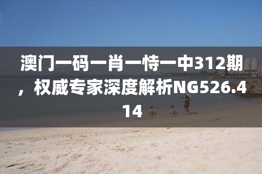 澳门一码一肖一恃一中312期，权威专家深度解析NG526.414