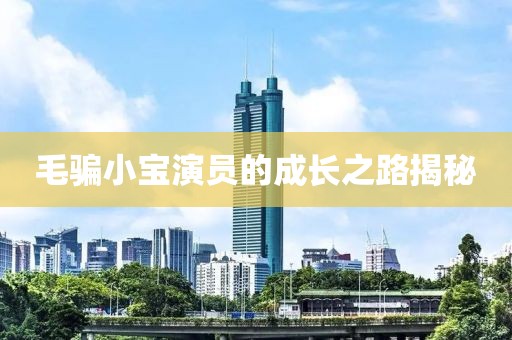 毛骗小宝演员的成长之路揭秘