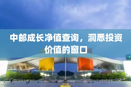 中邮成长净值查询，洞悉投资价值的窗口