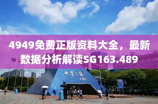 4949免费正版资料大全，最新数据分析解读SG163.489