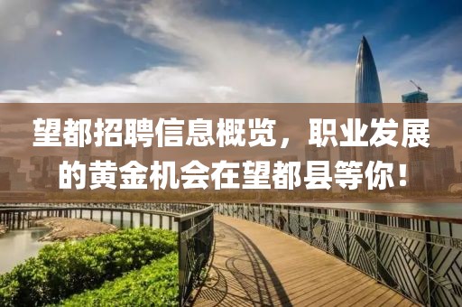 望都招聘信息概览，职业发展的黄金机会在望都县等你！