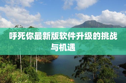 呼死你最新版软件升级的挑战与机遇