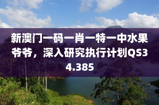 新澳门一码一肖一特一中水果爷爷，深入研究执行计划QS34.385