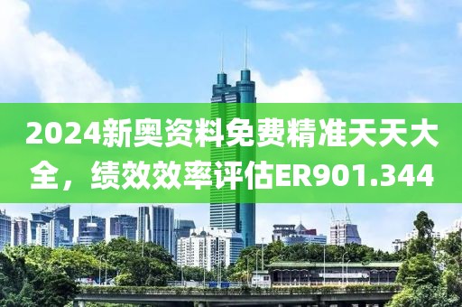 2024新奥资料免费精准天天大全，绩效效率评估ER901.344