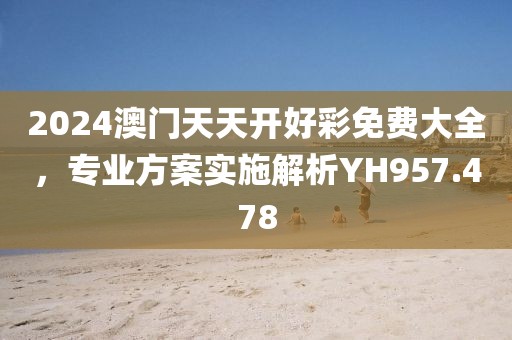 2024澳门天天开好彩免费大全，专业方案实施解析YH957.478