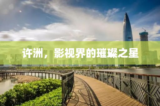 许洲，影视界的璀璨之星