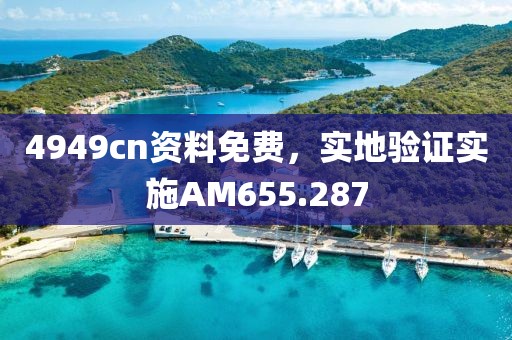 4949cn资料免费，实地验证实施AM655.287