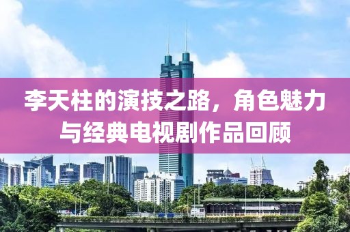 李天柱的演技之路，角色魅力与经典电视剧作品回顾