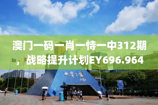 澳门一码一肖一恃一中312期，战略提升计划EY696.964